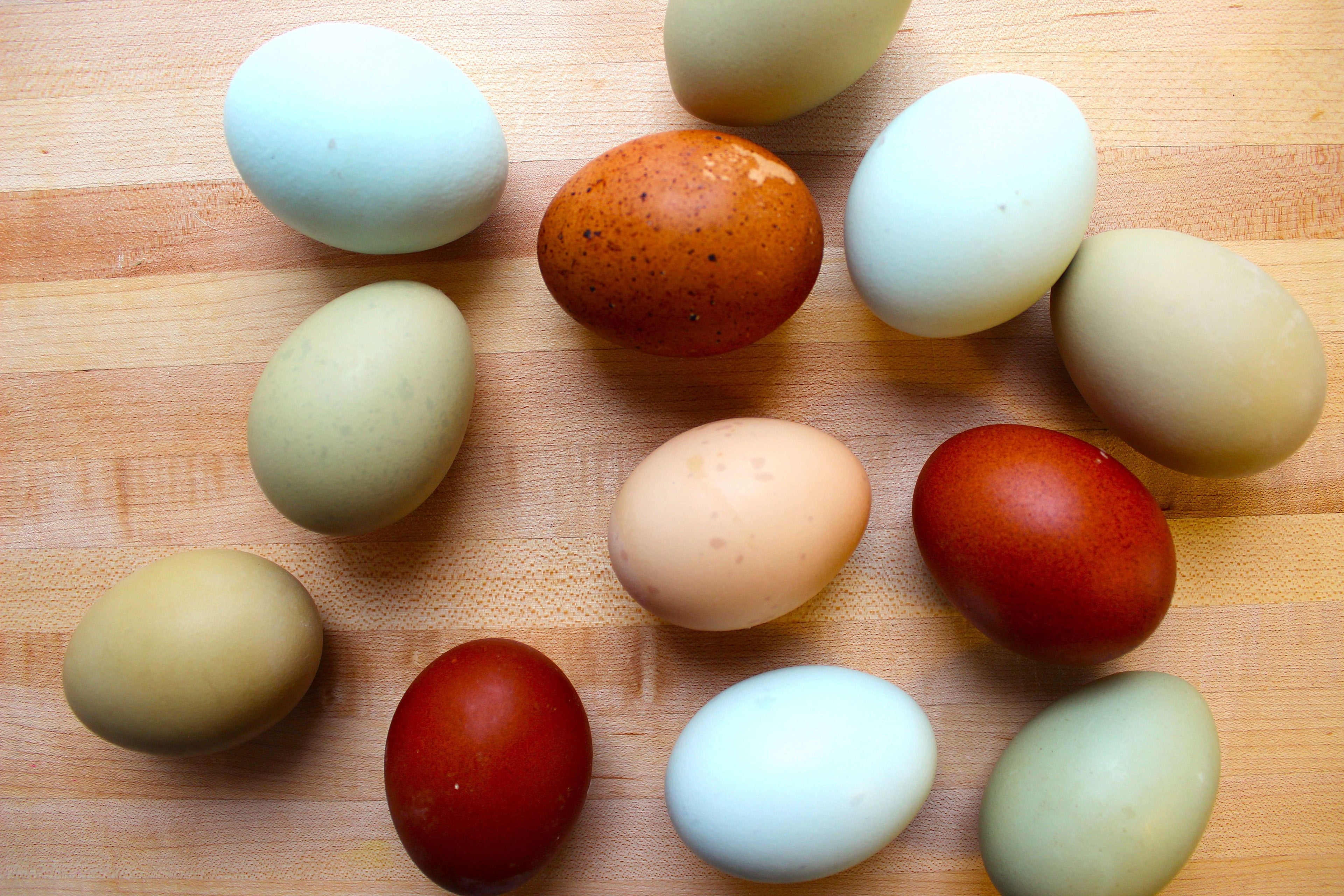 Six opened cartons of naturally green toned and brown eggs.