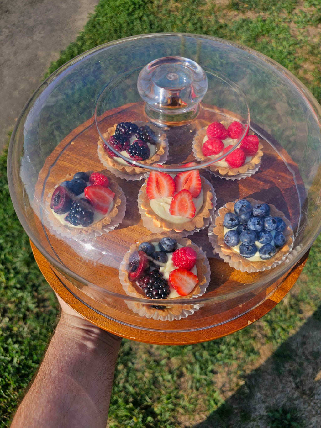 Custard Tart (6 Pack)