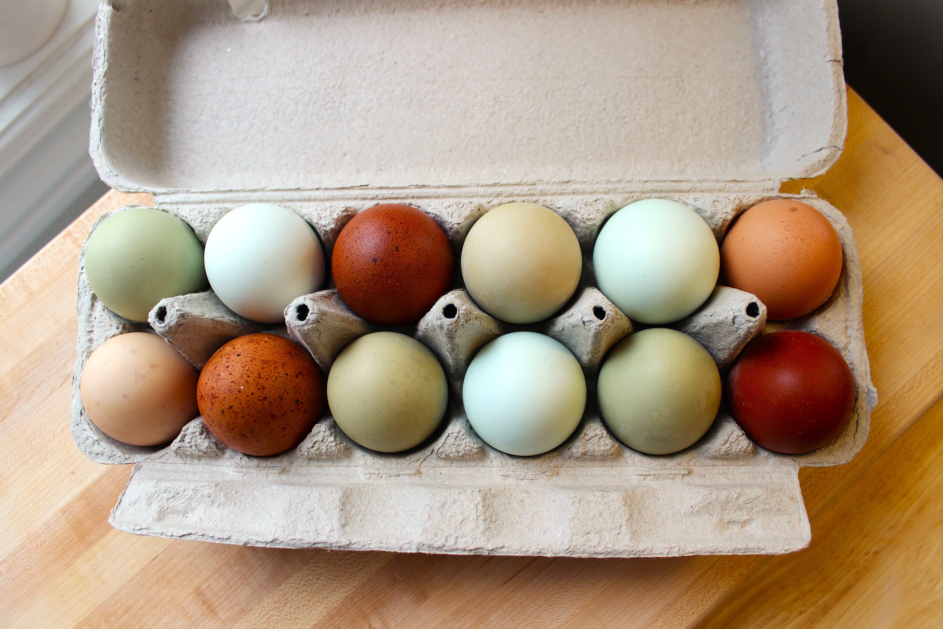 Jumbo Colour Eggs (12)