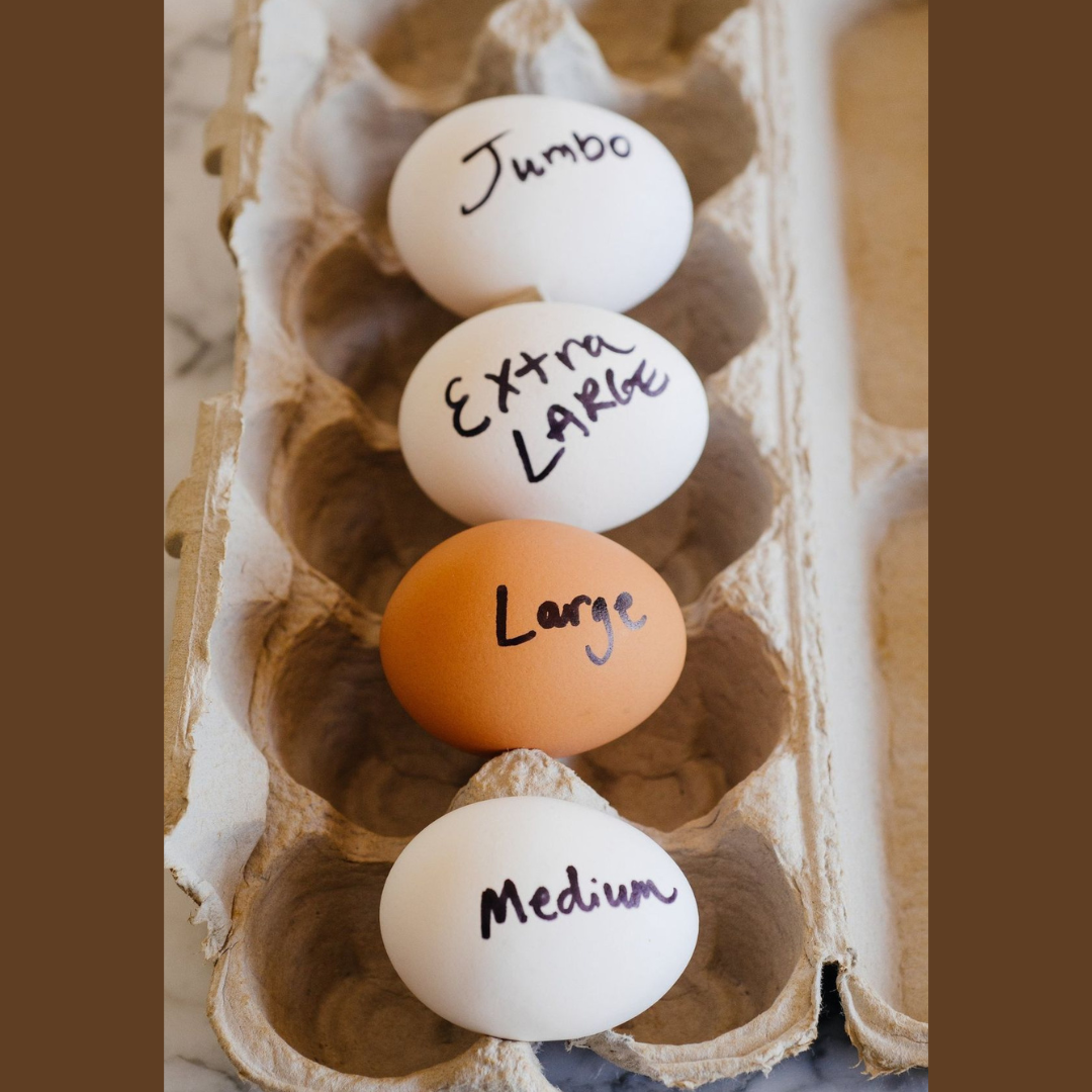 Jumbo Brown Eggs (12)